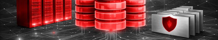 26021813124-Data-Management